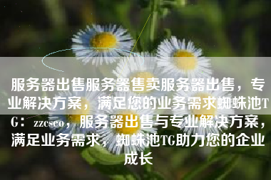 服务器出售服务器售卖服务器出售，专业解决方案，满足您的业务需求蜘蛛池TG：zzcseo，服务器出售与专业解决方案，满足业务需求，蜘蛛池TG助力您的企业成长