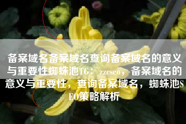 备案域名备案域名查询备案域名的意义与重要性蜘蛛池TG：zzcseo，备案域名的意义与重要性，查询备案域名，蜘蛛池SEO策略解析
