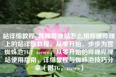 站详细教程_哔哩哔哩站怎么用哔哩哔哩上的站详细教程，从零开始，步步为营蜘蛛池TG：zzcseo，从零开始的哔哩哔哩站使用指南，详细教程与蜘蛛池技巧分享（附TG，zzcseo）