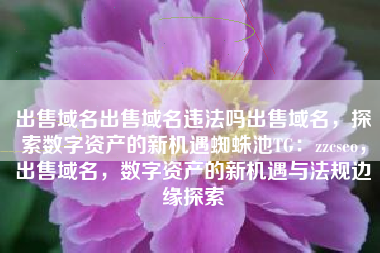 出售域名出售域名违法吗出售域名，探索数字资产的新机遇蜘蛛池TG：zzcseo，出售域名，数字资产的新机遇与法规边缘探索