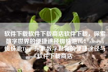 软件下载软件下载商店软件下载，探索数字世界的便捷途径蜘蛛池TG：zzcseo，蜘蛛池TG，探索数字世界的便捷途径与软件下载商店