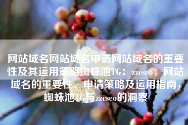 网站域名网站域名申请网站域名的重要性及其运用策略蜘蛛池TG：zzcseo，网站域名的重要性、申请策略及运用指南，蜘蛛池TG与zzcseo的洞察