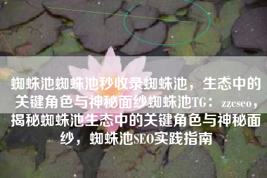 蜘蛛池蜘蛛池秒收录蜘蛛池，生态中的关键角色与神秘面纱蜘蛛池TG：zzcseo，揭秘蜘蛛池生态中的关键角色与神秘面纱，蜘蛛池SEO实践指南