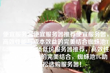 便宜服务器便宜服务器推荐便宜服务器，高效性能与成本效益的完美结合蜘蛛池TG：zzcseo，优质低价服务器推荐，高效性能与成本效益的完美结合，蜘蛛池TG助你轻松选购服务器！