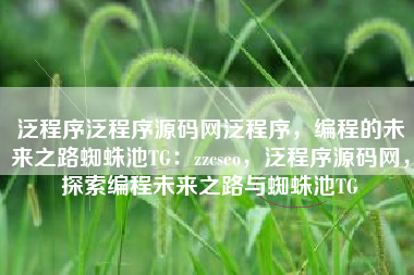 泛程序泛程序源码网泛程序，编程的未来之路蜘蛛池TG：zzcseo，泛程序源码网，探索编程未来之路与蜘蛛池TG