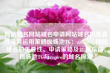 网站域名网站域名申请网站域名的重要性及其运用策略蜘蛛池TG：zzcseo，网站域名的重要性、申请策略及运用指南，蜘蛛池TG与zzcseo的域名探索