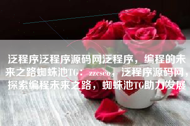泛程序泛程序源码网泛程序，编程的未来之路蜘蛛池TG：zzcseo，泛程序源码网，探索编程未来之路，蜘蛛池TG助力发展