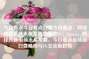 今日看点今日看点扫盘今日看点，科技创新引领未来发展蜘蛛池TG：zzcseo，科技创新引领未来发展，今日看点蜘蛛池扫盘揭秘与TG交流新趋势