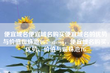 便宜域名便宜域名购买便宜域名的优势与价值蜘蛛池TG：zzcseo，便宜域名购买，优势、价值与蜘蛛池TG