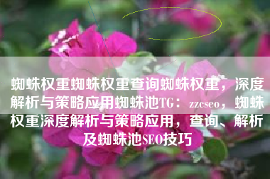 蜘蛛权重蜘蛛权重查询蜘蛛权重，深度解析与策略应用蜘蛛池TG：zzcseo，蜘蛛权重深度解析与策略应用，查询、解析及蜘蛛池SEO技巧