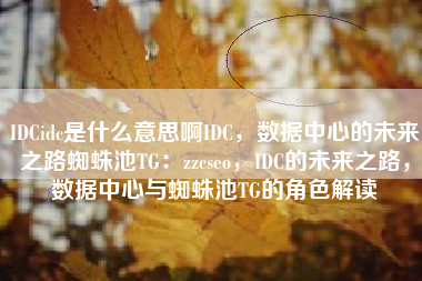 IDCidc是什么意思啊IDC，数据中心的未来之路蜘蛛池TG：zzcseo，IDC的未来之路，数据中心与蜘蛛池TG的角色解读