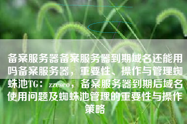 备案服务器备案服务器到期域名还能用吗备案服务器，重要性、操作与管理蜘蛛池TG：zzcseo，备案服务器到期后域名使用问题及蜘蛛池管理的重要性与操作策略