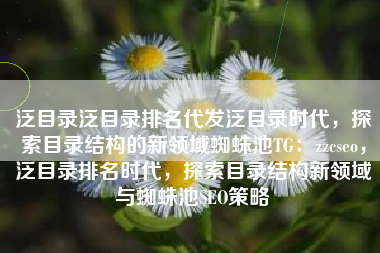 泛目录泛目录排名代发泛目录时代，探索目录结构的新领域蜘蛛池TG：zzcseo，泛目录排名时代，探索目录结构新领域与蜘蛛池SEO策略