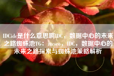 IDCidc是什么意思啊IDC，数据中心的未来之路蜘蛛池TG：zzcseo，IDC，数据中心的未来之路探索与蜘蛛池策略解析