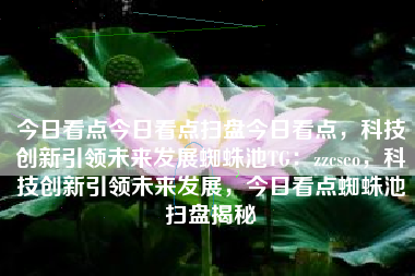 今日看点今日看点扫盘今日看点，科技创新引领未来发展蜘蛛池TG：zzcseo，科技创新引领未来发展，今日看点蜘蛛池扫盘揭秘