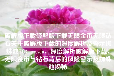 破解版下载破解版下载无限金币无限钻石关于破解版下载的深度解析及警示蜘蛛池TG：zzcseo，深度解析破解版下载，无限金币与钻石背后的风险警示及蜘蛛池揭秘