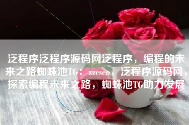 泛程序泛程序源码网泛程序，编程的未来之路蜘蛛池TG：zzcseo，泛程序源码网，探索编程未来之路，蜘蛛池TG助力发展
