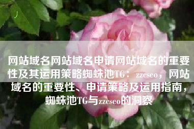 网站域名网站域名申请网站域名的重要性及其运用策略蜘蛛池TG：zzcseo，网站域名的重要性、申请策略及运用指南，蜘蛛池TG与zzcseo的洞察