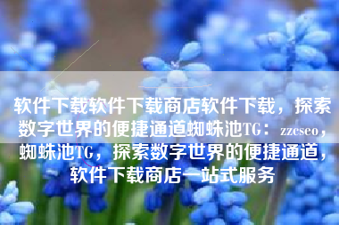 软件下载软件下载商店软件下载，探索数字世界的便捷通道蜘蛛池TG：zzcseo，蜘蛛池TG，探索数字世界的便捷通道，软件下载商店一站式服务