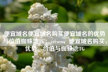 便宜域名便宜域名购买便宜域名的优势与价值蜘蛛池TG：zzcseo，便宜域名购买，优势、价值与蜘蛛池TG
