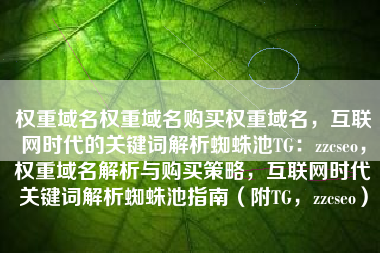 权重域名权重域名购买权重域名，互联网时代的关键词解析蜘蛛池TG：zzcseo，权重域名解析与购买策略，互联网时代关键词解析蜘蛛池指南（附TG，zzcseo）