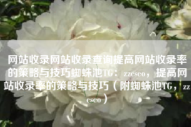 网站收录网站收录查询提高网站收录率的策略与技巧蜘蛛池TG：zzcseo，提高网站收录率的策略与技巧（附蜘蛛池TG，zzcseo）