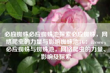 必应蜘蛛必应蜘蛛池探索必应蜘蛛，网络爬虫的力量与影响蜘蛛池TG：zzcseo，必应蜘蛛与蜘蛛池，网络爬虫的力量、影响及探索