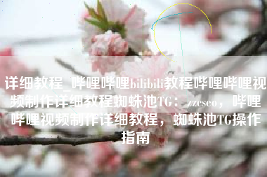 详细教程_哔哩哔哩bilibili教程哔哩哔哩视频制作详细教程蜘蛛池TG：zzcseo，哔哩哔哩视频制作详细教程，蜘蛛池TG操作指南