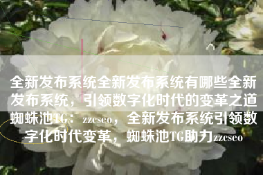 全新发布系统全新发布系统有哪些全新发布系统，引领数字化时代的变革之道蜘蛛池TG：zzcseo，全新发布系统引领数字化时代变革，蜘蛛池TG助力zzcseo
