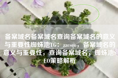 备案域名备案域名查询备案域名的意义与重要性蜘蛛池TG：zzcseo，备案域名的意义与重要性，查询备案域名，蜘蛛池SEO策略解析