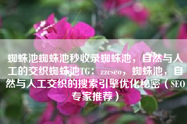 蜘蛛池蜘蛛池秒收录蜘蛛池，自然与人工的交织蜘蛛池TG：zzcseo，蜘蛛池，自然与人工交织的搜索引擎优化秘密（SEO专家推荐）