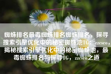 蜘蛛排名最毒蜘蛛排名蜘蛛排名，探寻搜索引擎优化中的秘密蜘蛛池TG：zzcseo，揭秘搜索引擎优化中的秘密蜘蛛池，最毒蜘蛛排名与探寻TG，zzcseo之道