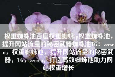 权重蜘蛛池百度权重蜘蛛ip权重蜘蛛池，提升网站流量的秘密武器蜘蛛池TG：zzcseo，权重蜘蛛池，提升网站流量的秘密武器，TG，zzcseo，打造高效蜘蛛池助力网站权重增长