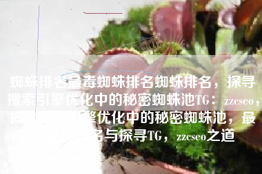 蜘蛛排名最毒蜘蛛排名蜘蛛排名，探寻搜索引擎优化中的秘密蜘蛛池TG：zzcseo，揭秘搜索引擎优化中的秘密蜘蛛池，最毒蜘蛛排名与探寻TG，zzcseo之道