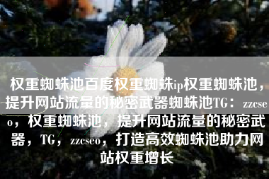 权重蜘蛛池百度权重蜘蛛ip权重蜘蛛池，提升网站流量的秘密武器蜘蛛池TG：zzcseo，权重蜘蛛池，提升网站流量的秘密武器，TG，zzcseo，打造高效蜘蛛池助力网站权重增长
