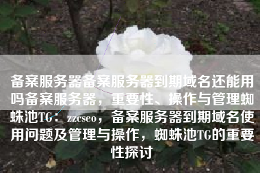 备案服务器备案服务器到期域名还能用吗备案服务器，重要性、操作与管理蜘蛛池TG：zzcseo，备案服务器到期域名使用问题及管理与操作，蜘蛛池TG的重要性探讨