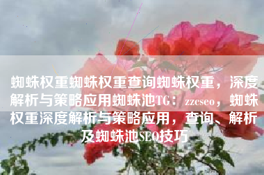 蜘蛛权重蜘蛛权重查询蜘蛛权重，深度解析与策略应用蜘蛛池TG：zzcseo，蜘蛛权重深度解析与策略应用，查询、解析及蜘蛛池SEO技巧