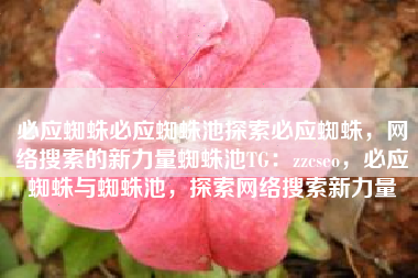 必应蜘蛛必应蜘蛛池探索必应蜘蛛，网络搜索的新力量蜘蛛池TG：zzcseo，必应蜘蛛与蜘蛛池，探索网络搜索新力量