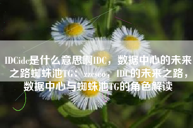 IDCidc是什么意思啊IDC，数据中心的未来之路蜘蛛池TG：zzcseo，IDC的未来之路，数据中心与蜘蛛池TG的角色解读
