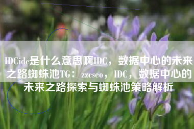 IDCidc是什么意思啊IDC，数据中心的未来之路蜘蛛池TG：zzcseo，IDC，数据中心的未来之路探索与蜘蛛池策略解析
