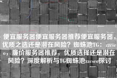 便宜服务器便宜服务器推荐便宜服务器，优质之选还是潜在风险？蜘蛛池TG：zzcseo，廉价服务器推荐，优质选择还是潜在风险？深度解析与TG蜘蛛池zzcseo探讨