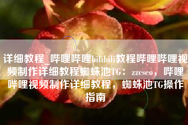 详细教程_哔哩哔哩bilibili教程哔哩哔哩视频制作详细教程蜘蛛池TG：zzcseo，哔哩哔哩视频制作详细教程，蜘蛛池TG操作指南