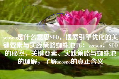 seoseo是什么意思SEO，搜索引擎优化的关键要素与实践策略蜘蛛池TG：zzcseo，SEO的秘密，关键要素、实践策略与蜘蛛池的理解，了解seoseo的真正含义