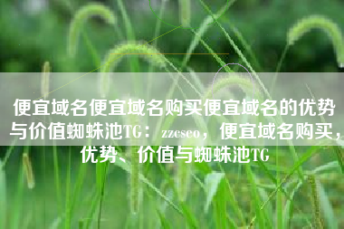 便宜域名便宜域名购买便宜域名的优势与价值蜘蛛池TG：zzcseo，便宜域名购买，优势、价值与蜘蛛池TG