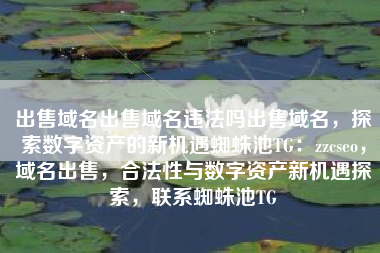出售域名出售域名违法吗出售域名，探索数字资产的新机遇蜘蛛池TG：zzcseo，域名出售，合法性与数字资产新机遇探索，联系蜘蛛池TG