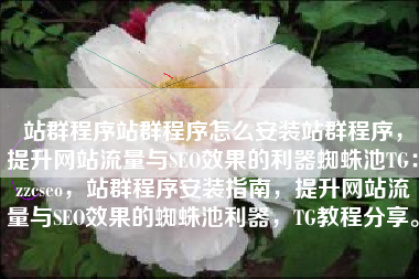 站群程序站群程序怎么安装站群程序，提升网站流量与SEO效果的利器蜘蛛池TG：zzcseo，站群程序安装指南，提升网站流量与SEO效果的蜘蛛池利器，TG教程分享。