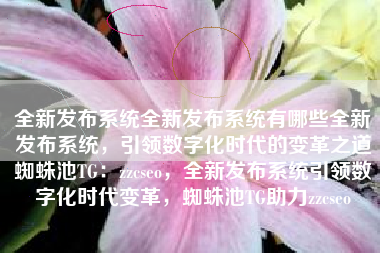 全新发布系统全新发布系统有哪些全新发布系统，引领数字化时代的变革之道蜘蛛池TG：zzcseo，全新发布系统引领数字化时代变革，蜘蛛池TG助力zzcseo
