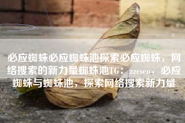 必应蜘蛛必应蜘蛛池探索必应蜘蛛，网络搜索的新力量蜘蛛池TG：zzcseo，必应蜘蛛与蜘蛛池，探索网络搜索新力量