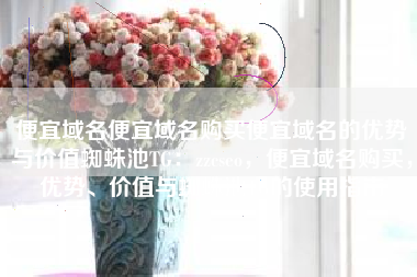便宜域名便宜域名购买便宜域名的优势与价值蜘蛛池TG：zzcseo，便宜域名购买，优势、价值与蜘蛛池TG的使用指南