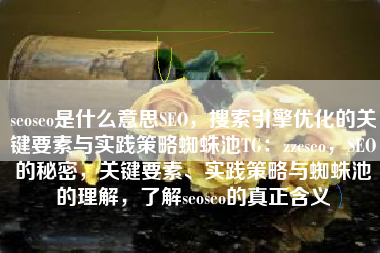 seoseo是什么意思SEO，搜索引擎优化的关键要素与实践策略蜘蛛池TG：zzcseo，SEO的秘密，关键要素、实践策略与蜘蛛池的理解，了解seoseo的真正含义